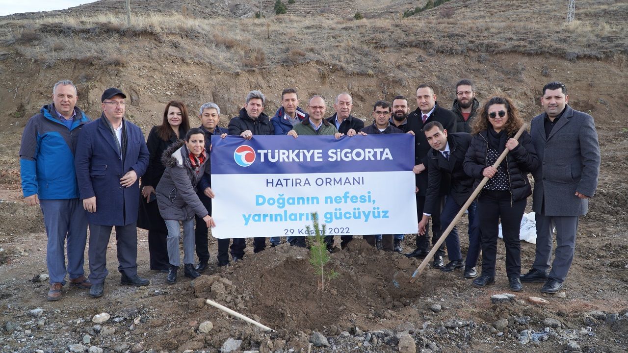 Türkiye Sigorta Ormanı Sivas’a nefes olacak