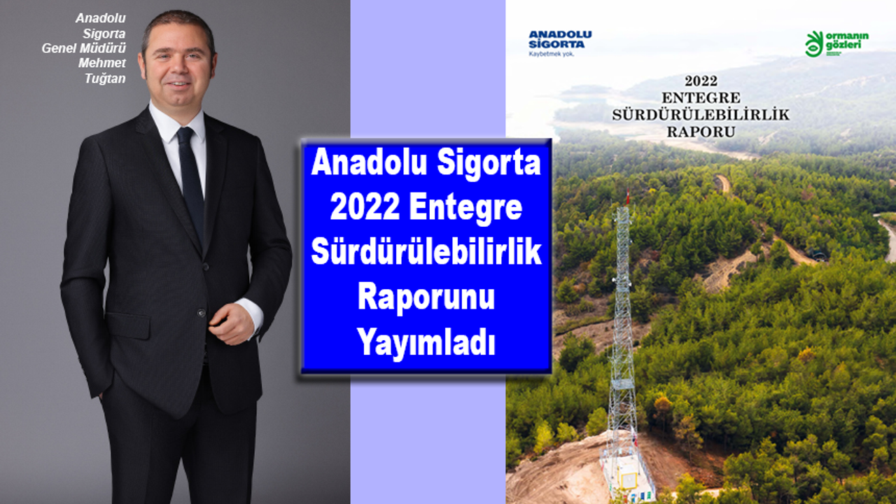 Anadolu Sigorta 2022 Entegre Sürdürülebilirlik Raporu
