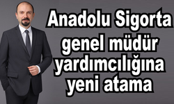 Anadolu Sigorta genel müdür yardımcılığına yeni atama