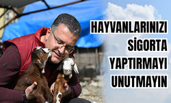 Hayvanlarınızı Sigorta Yaptırmayı Unutmayın