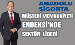 'Müşteri Memnuniyeti Endeksi'nde Sektör Lideri