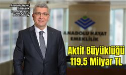 AHE Aktif Büyüklüğü 119.5 Milyar TL’ye Ulaştı