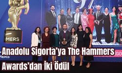 Anadolu Sigorta’ya The Hammers   Awards’dan İki Ödül