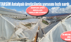 TARSİM Antalyalı üreticilerin yarasını hızlı sardı