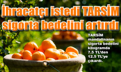 İhracatçı istedi TARSİM mandalinada sigorta bedelini artırdı