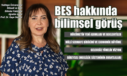 Bireysel Emeklilik Sistemi hakkında bilimsel görüş