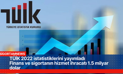 TÜİK 2022 istatistiklerini yayımladı