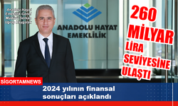 Anadolu Hayat Emeklilik 2024 yılı finansal sonuçları