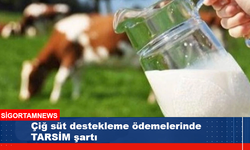 TARSİM olmadan çiğ süt destekleme ödemesi TARSİM şartı