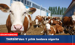 TARSİM’den 1 yıllık bedava sigorta