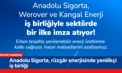 Anadolu Sigorta, rüzgâr enerjisinde yenilikçi iş birliği