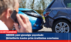 Şirketlerin kasko prim üretimine özsermaye sınırı