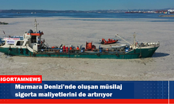 Müsilaj sigorta maliyetlerini de artırıyor