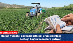 Bitkisel ürün sigortası desteği bugün hesaplara yatıyor