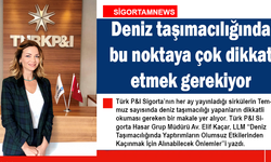 Deniz taşımacılığında bu noktaya çok dikkat etmek gerekiyor