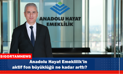 Anadolu Hayat Emeklilik’in aktif fon büyüklüğü ne kadar?