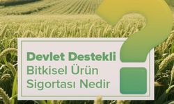 Devlet Destekli Bitkisel Ürün Sigortası Nedir?