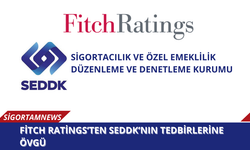 Fitch Ratings’ten SEDDK’nın tedbirlerine övgü