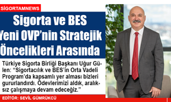 Sigorta ve BES Yeni OVP’nin Stratejik Öncelikleri Arasında