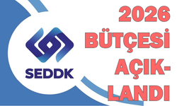 SEDDK’nın 2026 bütçesi belli oldu