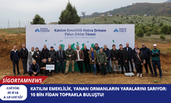 Katılım Emeklilik, Yanan Ormanların Yaralarını Sarıyor: 10 Bin Fidan Toprakla Buluştu!