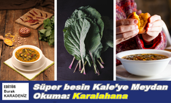 Süper besin Kale’ye Meydan Okuma: Karalahana