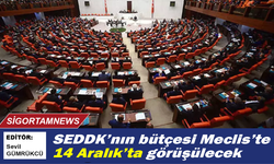 SEDDK’nın bütçesi Meclis’te 14 Aralık’ta görüşülecek