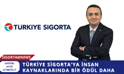 Türkiye Sigorta’ya insan kaynaklarında bir ödül daha