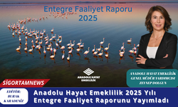 Anadolu Hayat Emeklilik 2025 Yılı Entegre Faaliyet Raporunu Yayımladı
