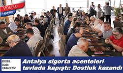 Antalya sigorta acenteleri tavlada kapıştı: Dostluk kazandı