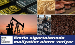 Emtia sigortalarında maliyetler alarm veriyor