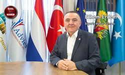 Hollanda’da kaza davalarının yüzde 98’i mahkemesiz çözülüyor