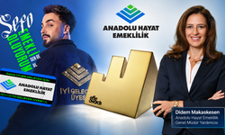 Anadolu Hayat Emeklilik’e ‘İyi Gelecek Üyeliği’ Altın Effie getirdi