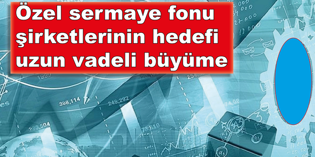 EY: Özel sermaye fonu şirketleri uzun vadeli stratejik büyümeye odaklanıyor