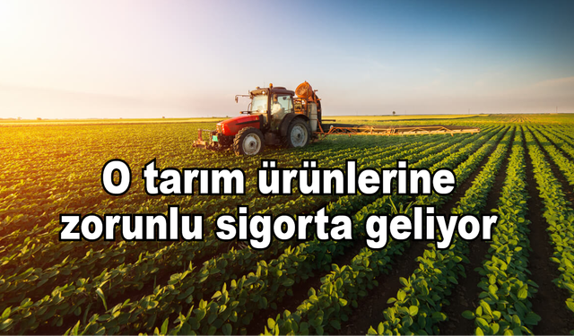 O tarım ürünlerine zorunlu sigorta geliyor