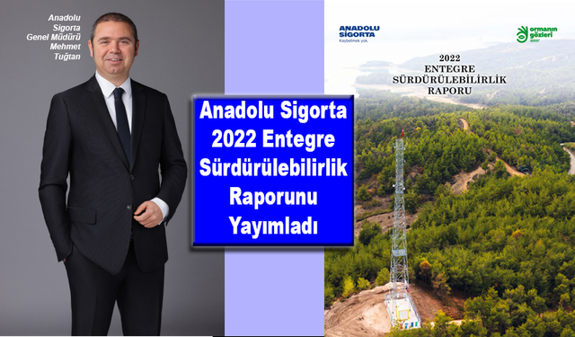 Anadolu Sigorta 2022 Entegre Sürdürülebilirlik Raporu