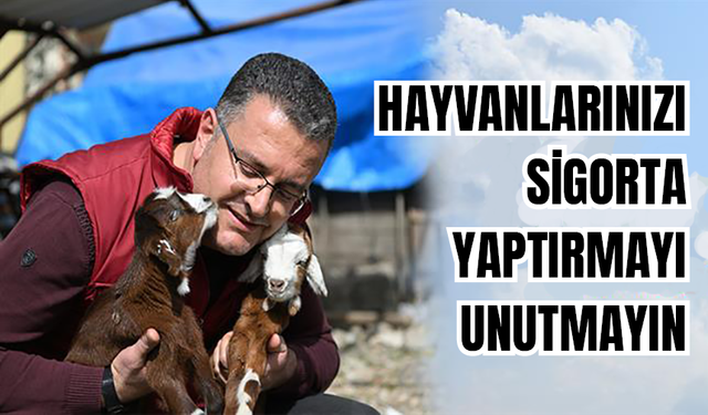 Hayvanlarınızı Sigorta Yaptırmayı Unutmayın