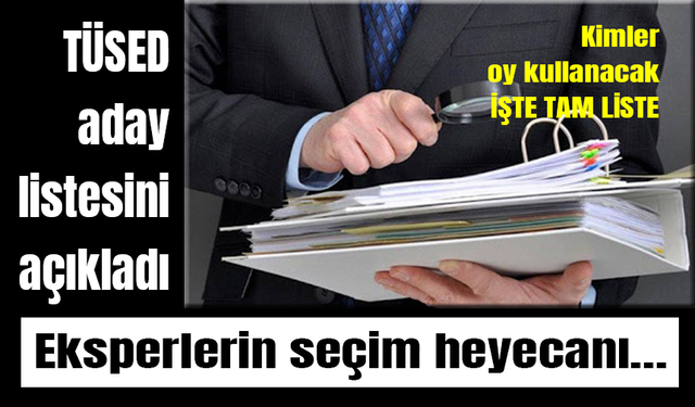 TÜSED SEİK seçimleri aday listesini açıkladı