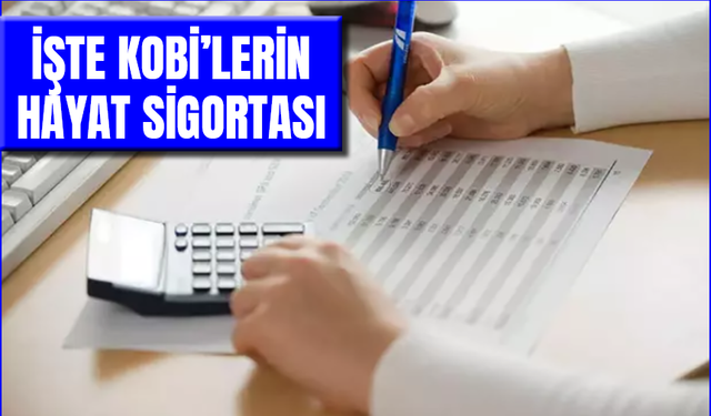 Devlet Destekli Alacak Sigortası KOBİ’nin Hayat Sigortasıdır