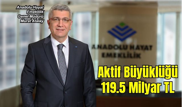 AHE Aktif Büyüklüğü 119.5 Milyar TL’ye Ulaştı