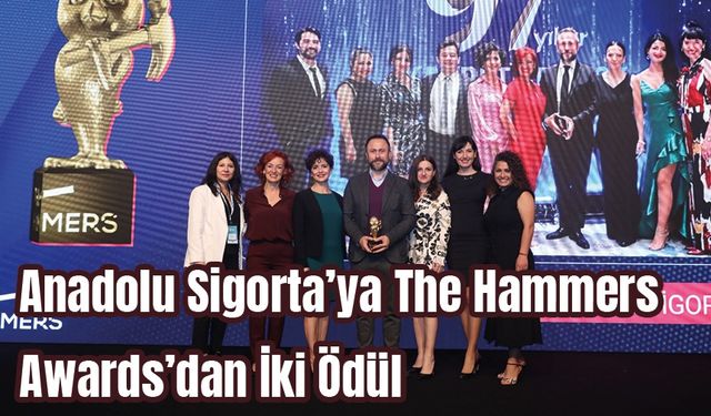 Anadolu Sigorta’ya The Hammers   Awards’dan İki Ödül