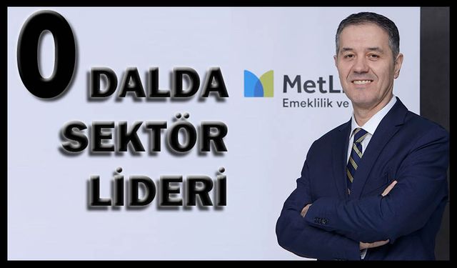 MetLife Türkiye o dalda sektör lideri oldu