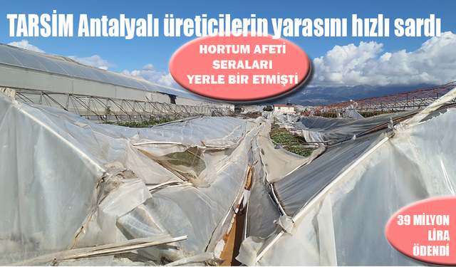 TARSİM Antalyalı üreticilerin yarasını hızlı sardı