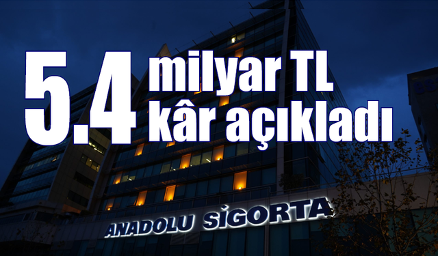 Anadolu Sigorta 5.4 milyar TL kâr açıkladı