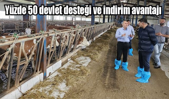 Hayvancılıkta yüzde 50 devlet desteği ve indirim avantajı