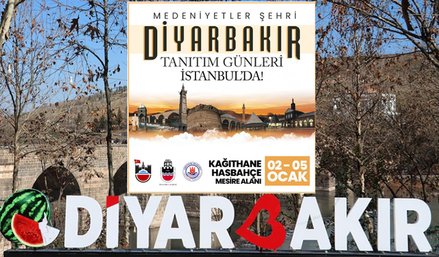 Diyarbakır İstanbul’da…