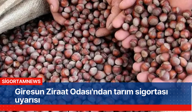 Giresun Ziraat Odası'ndan tarım sigortası uyarısı