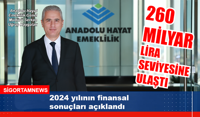 Anadolu Hayat Emeklilik 2024 yılı finansal sonuçları