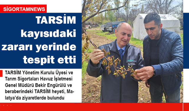 TARSİM kayısıdaki zararı yerinde tespit etti