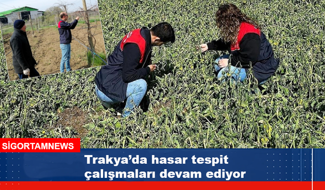 Trakya'da hasar tespit çalışmaları devam ediyor
